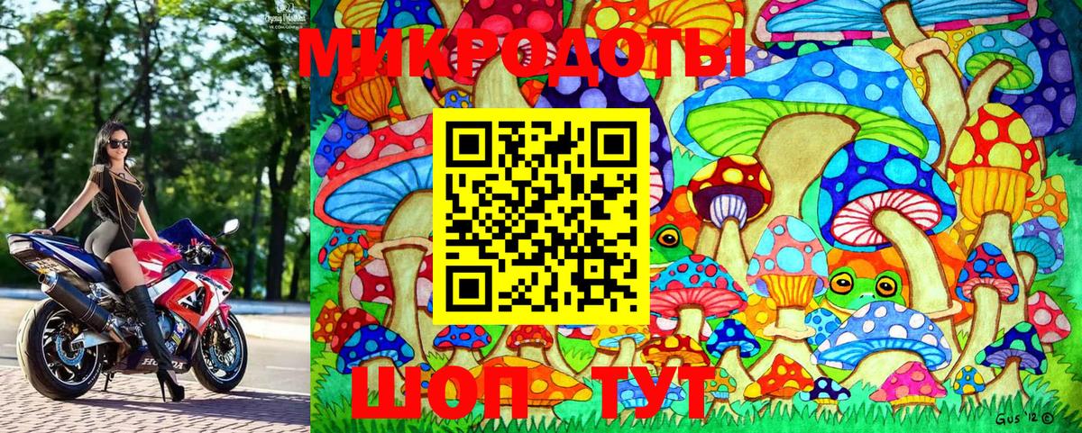 Галлюциногенные грибы Psilocybine cubensis Чита