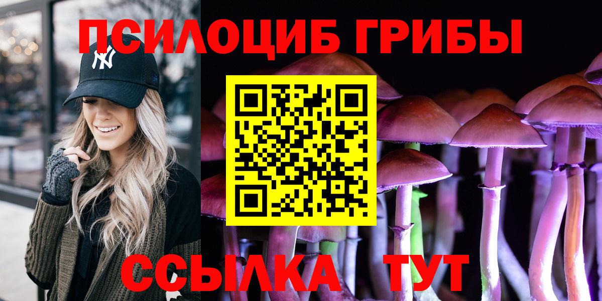 Чита  Псилоцибиновые грибы GOLDEN TEACHER  Вход с VPN 